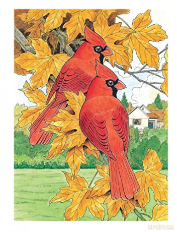 Glorious Songbirds - John Green [KSIĄŻKA]