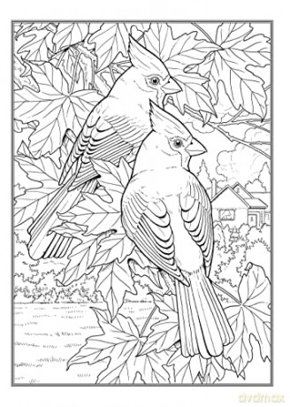 Glorious Songbirds - John Green [KSIĄŻKA]