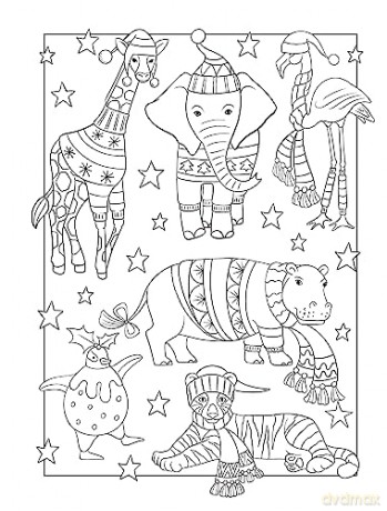 Christmas Cheer Coloring Book - Jo Taylor [KSIĄŻKA]