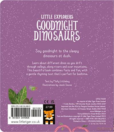 Goodnight Dinosaurs - Molly Littleboy [KSIĄŻKA]