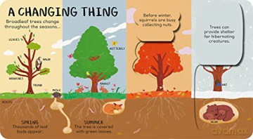 All The Things A Tree Can Be - James Carter [KSIĄŻKA]