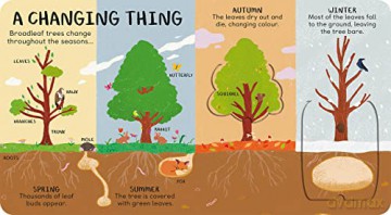 All The Things A Tree Can Be - James Carter [KSIĄŻKA]