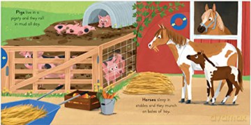 Farm - Anne-Kathrin Behl [KSIĄŻKA]