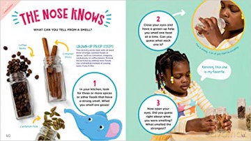 Busy Little Hands Science Play - Susan E Richmond [KSIĄŻKA]