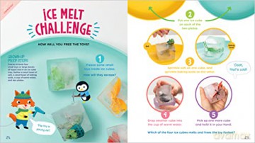 Busy Little Hands Science Play - Susan E Richmond [KSIĄŻKA]