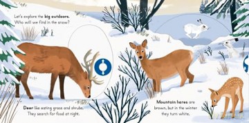 Big Outdoors For Little Explorers Snow - Anne-Kathrin Behl [KSIĄŻKA]