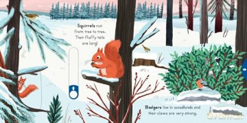 Big Outdoors For Little Explorers Snow - Anne-Kathrin Behl [KSIĄŻKA]