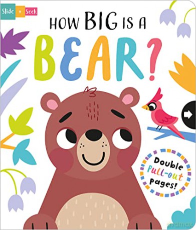 How Big Is A Bear - Lisa Regan [KSIĄŻKA]