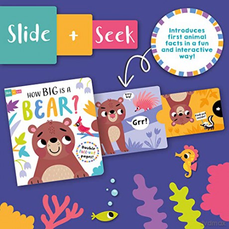 How Big Is A Bear - Lisa Regan [KSIĄŻKA]