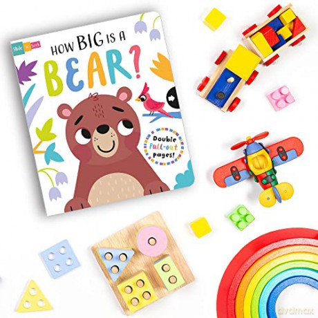 How Big Is A Bear - Lisa Regan [KSIĄŻKA]