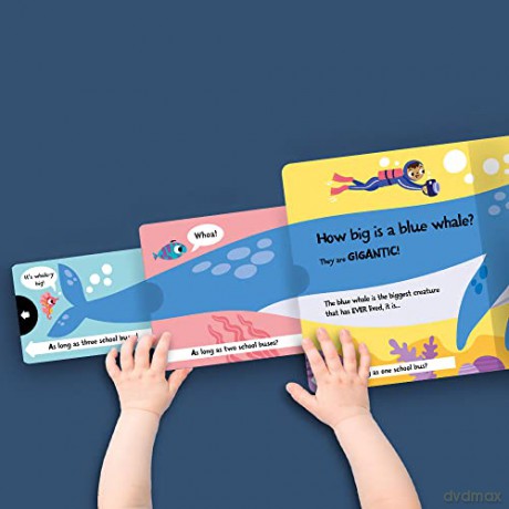 How Wide Is A Whale - Lisa Regan [KSIĄŻKA]