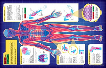 Hidden Human Body [KSIĄŻKA]