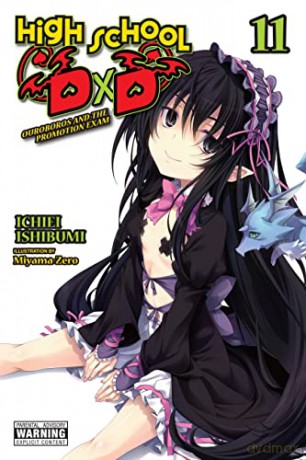 High School Dxd Vol 11 - Ichiei Ishibumi [KSIĄŻKA]