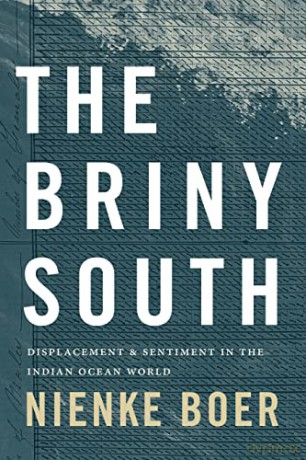 Briny South - Nienke Boer [KSIĄŻKA]