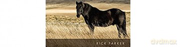Equine Science - Parker [KSIĄŻKA]