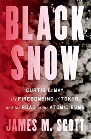 Black Snow - James M Scott [KSIĄŻKA]
