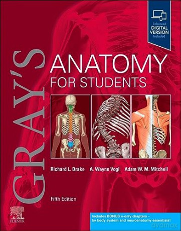 Grays Anatomy For Students - Richard L. Drake [KSIĄŻKA]