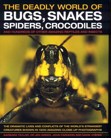 Bugs Snakes Spiders Crocodiles [KSIĄŻKA]