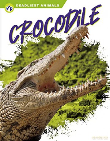 Crocodile - Golriz Golkar [KSIĄŻKA]