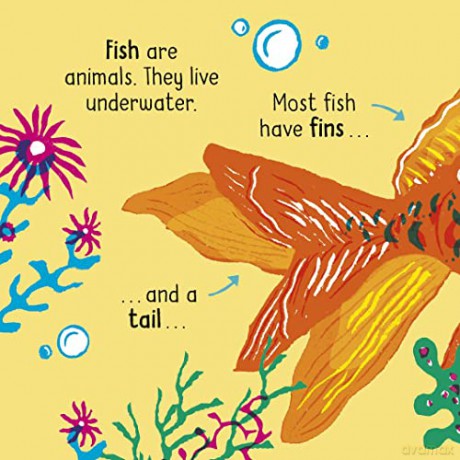 50 Words On Nature Animals - Lily Holland [KSIĄŻKA]