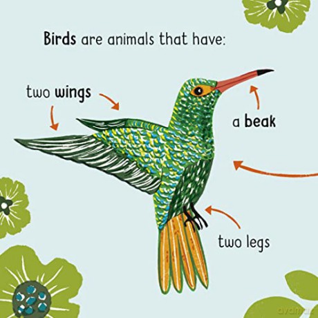 50 Words On Nature Animals - Lily Holland [KSIĄŻKA]