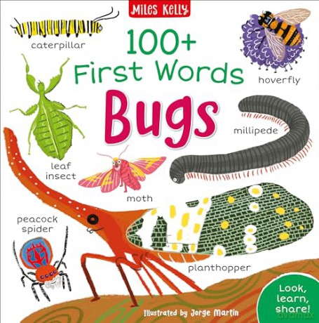 100+ First Words Bugs - Unknown [KSIĄŻKA]