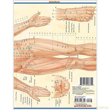 Acupressure - Vincent Perez [KSIĄŻKA]