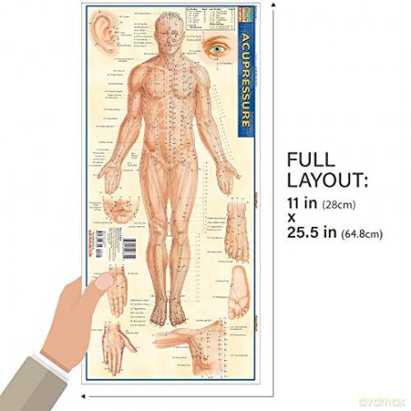 Acupressure - Vincent Perez [KSIĄŻKA]
