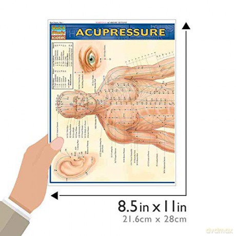 Acupressure - Vincent Perez [KSIĄŻKA]