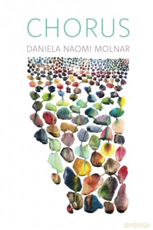 Chorus - Daniela Naom Molnar [KSIĄŻKA]