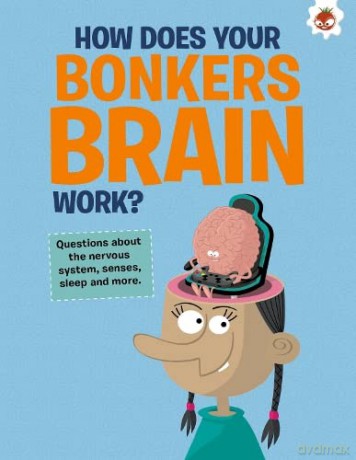 How Does Your Bonkers Brain Work - John Farndon [KSIĄŻKA]