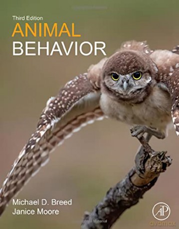 Animal Behavior - Michael D. Breed [KSIĄŻKA]
