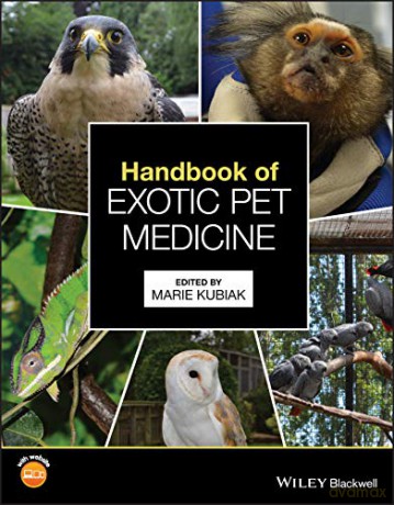 Handbook Of Exotic Pet Medicine [KSIĄŻKA]