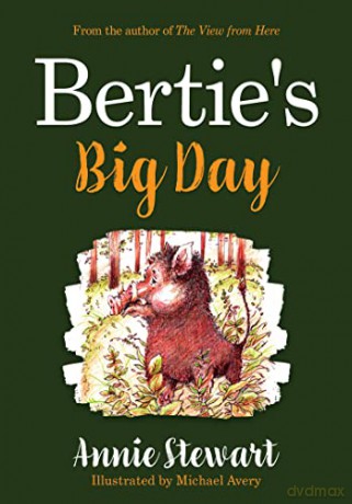 Berties Big Day - Annie Stewart [KSIĄŻKA]