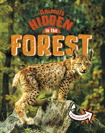 Animals Hidden In The Forest - Jessica Rusick [KSIĄŻKA]