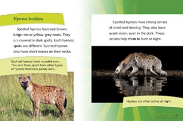 Female Spotted Hyenas - Jaclyn Jaycox [KSIĄŻKA]