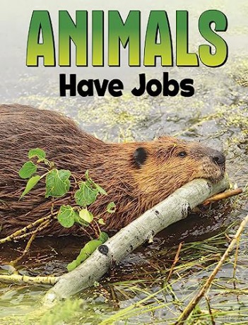 Animals Have Jobs - Nadia Ali [KSIĄŻKA]