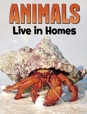 Animals Live In Homes - Nadia Ali [KSIĄŻKA]