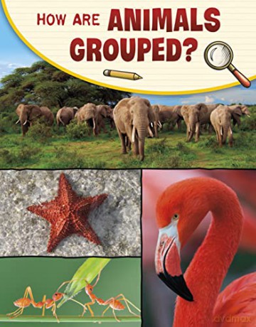 How Are Animals Grouped - Lisa Simons [KSIĄŻKA]