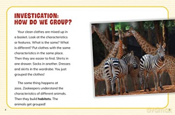 How Are Animals Grouped - Lisa Simons [KSIĄŻKA]
