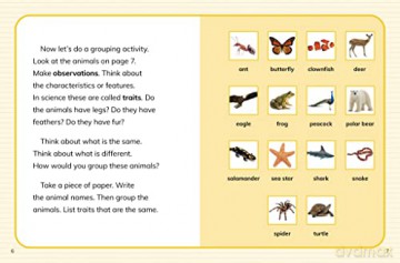 How Are Animals Grouped - Lisa Simons [KSIĄŻKA]