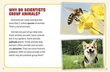 How Are Animals Grouped - Lisa Simons [KSIĄŻKA]