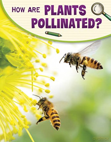 How Are Plants Pollinated - Emily Raij [KSIĄŻKA]