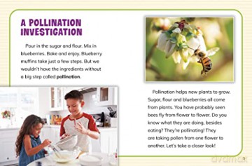 How Are Plants Pollinated - Emily Raij [KSIĄŻKA]