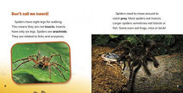 How Do Spiders Walk On The Ceiling - Nancy Dickmann [KSIĄŻKA]