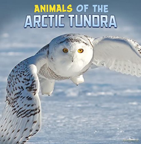 Animals Of The Arctic Tundra - Rustad Martha E H [KSIĄŻKA]