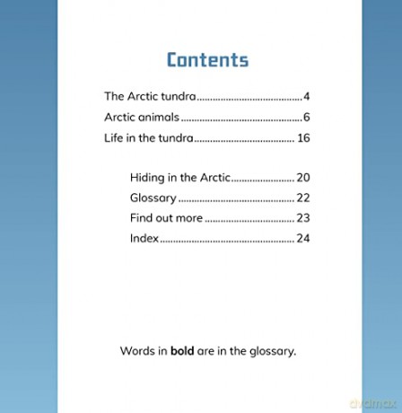 Animals Of The Arctic Tundra - Rustad Martha E H [KSIĄŻKA]