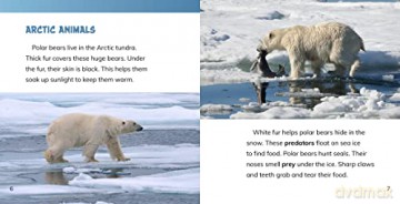 Animals Of The Arctic Tundra - Rustad Martha E H [KSIĄŻKA]