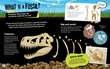 Geology Rocks Fossils - Izzi Howell [KSIĄŻKA]