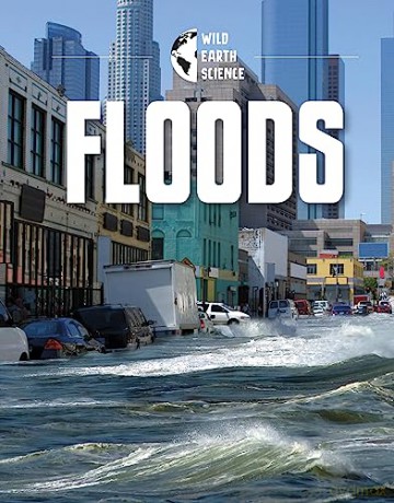 Floods - Rachel Werner [KSIĄŻKA]